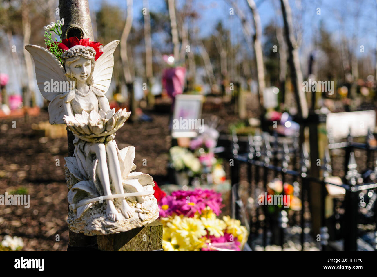Statue of an angel tied to a tree in a garden of remembrance for