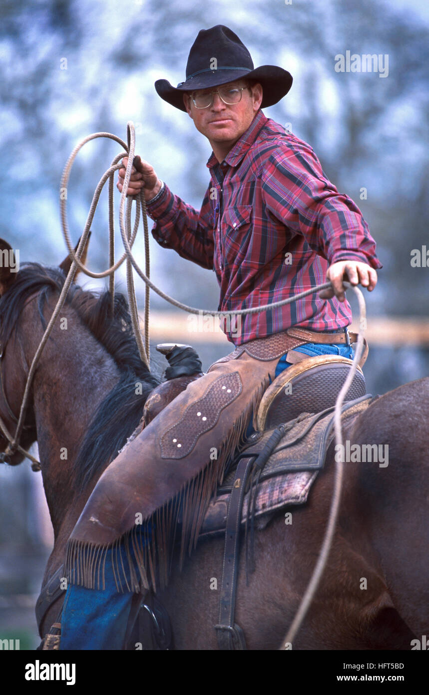 A cowboy with a lasso at a cattle roundup and branding in Belle Fourche, South Dakota Stock Photo