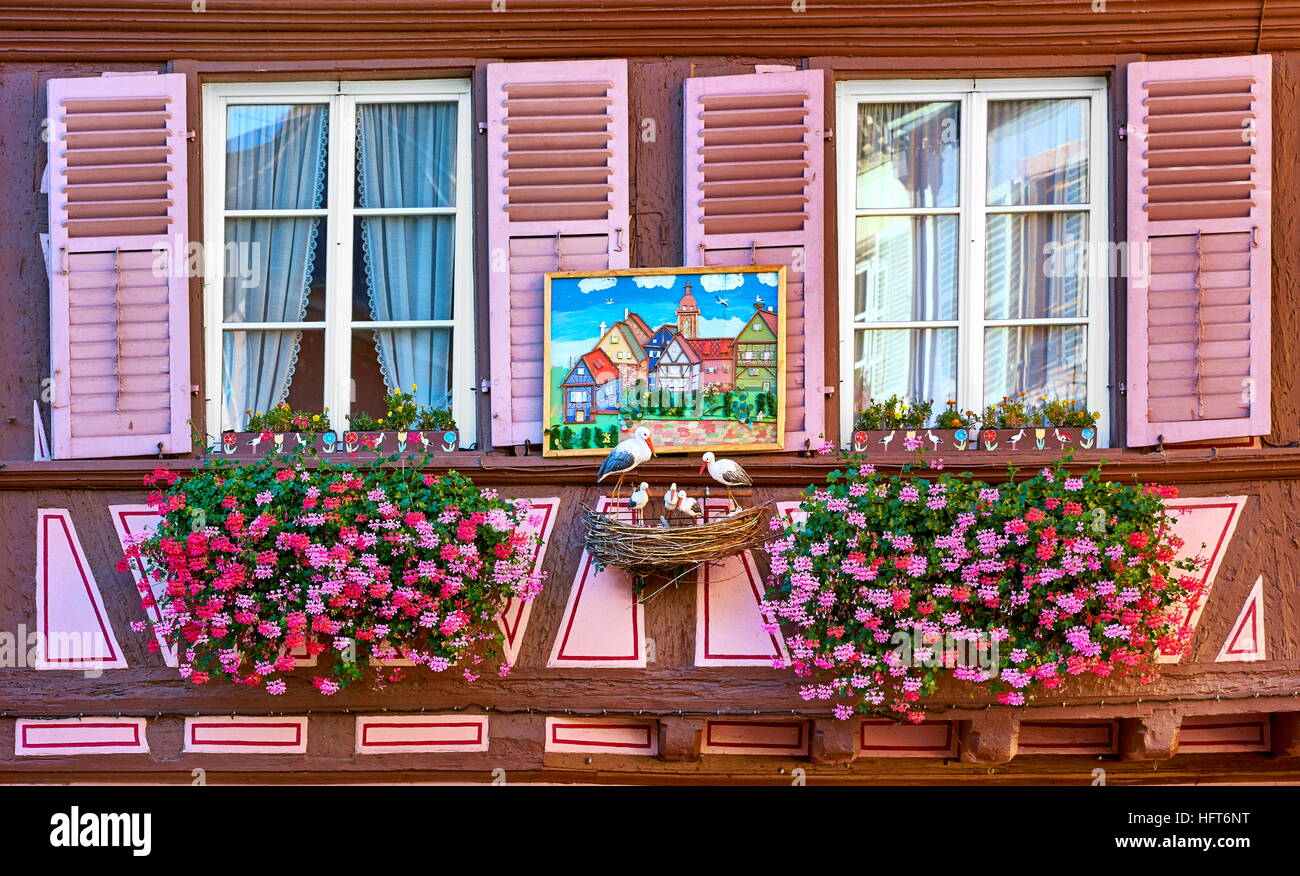 Window flower decoration, Colmar, France, Stock Photo