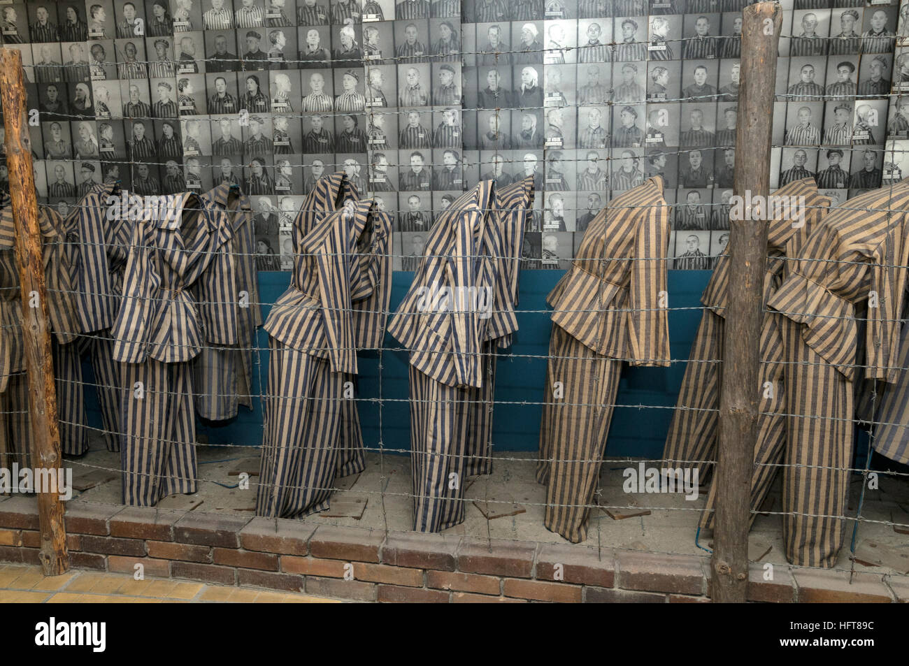 Many of the existing ex-prisoner accommodation blocks are now small museums at Auschwitz Birkenau Nazi concentration camp in Oswiecim, Poland.  The di Stock Photo