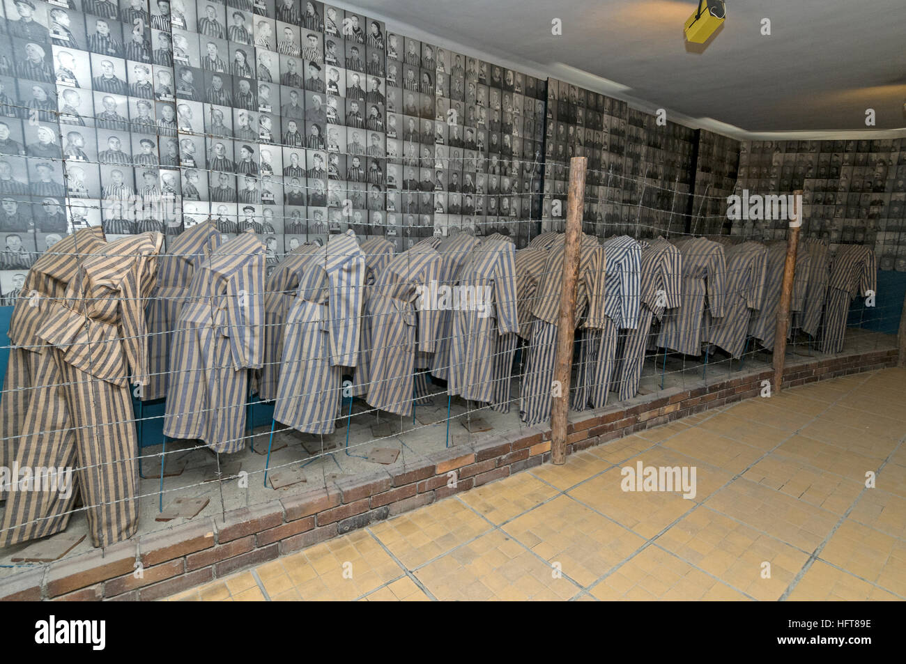 Many of the existing ex-prisoner accommodation blocks are now small museums at Auschwitz Birkenau Nazi concentration camp in Oswiecim, Poland.  The di Stock Photo