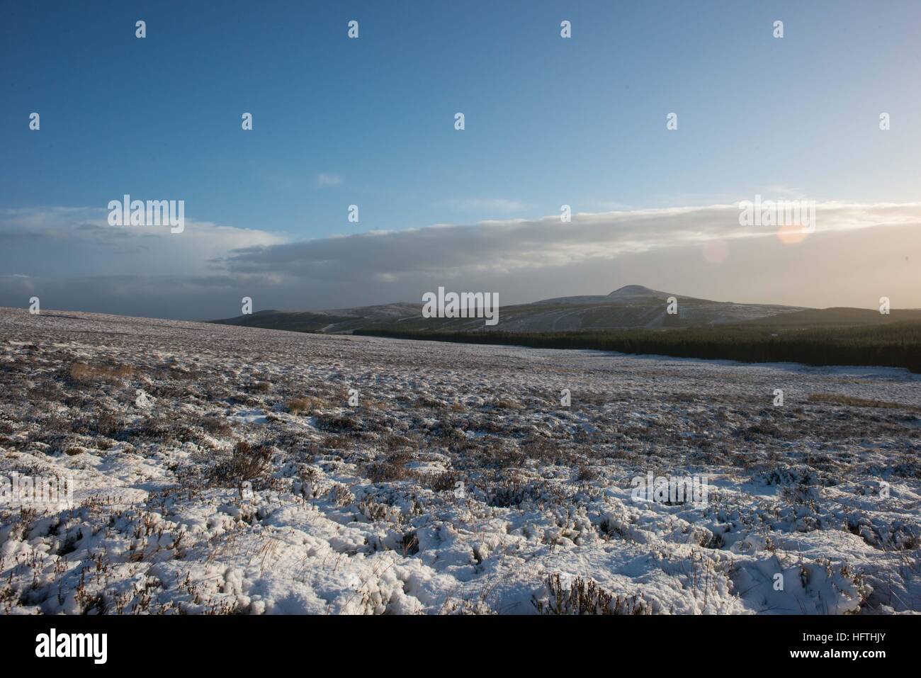 view of Cioch Mhor (the pap) from the lower slopes of ben wyvis Stock Photo