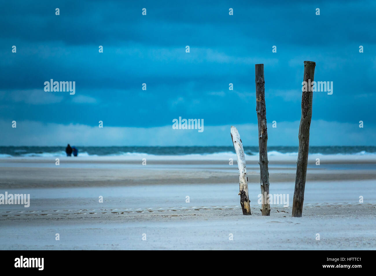 Poles on the North Sea island Amrum, Germany Stock Photo