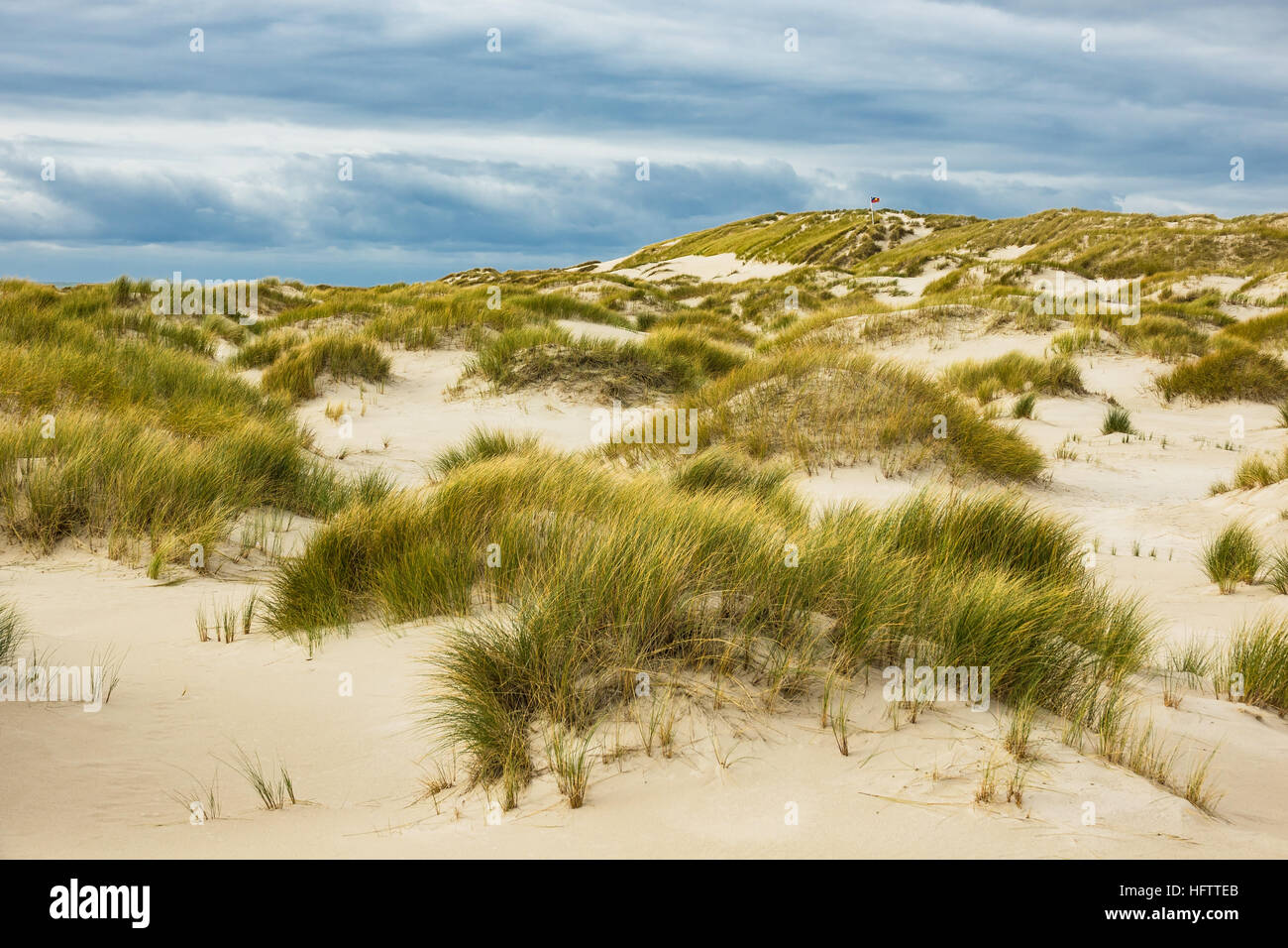 Dunes on the North Sea island Amrum, Germany Stock Photo