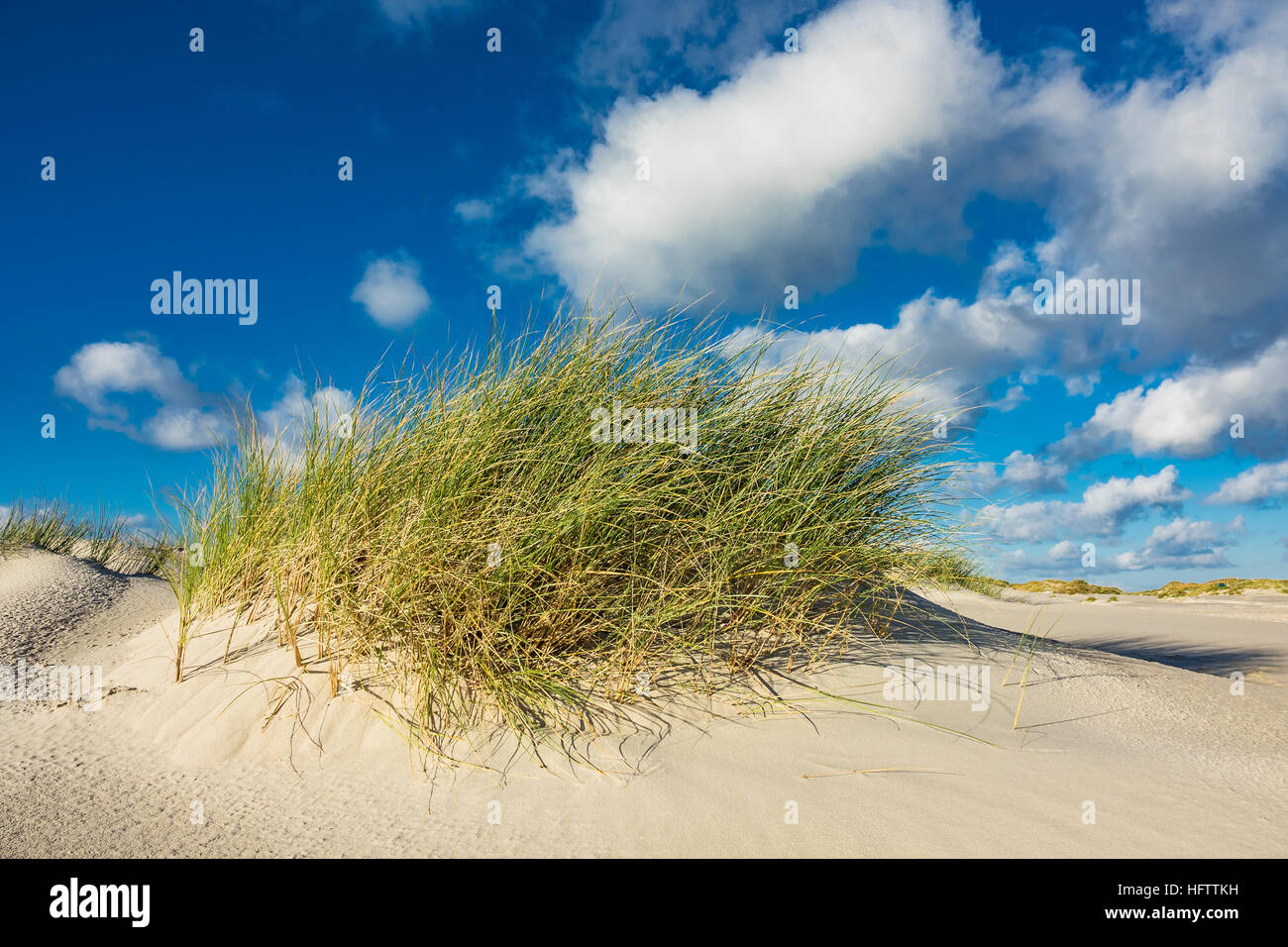 Dunes on the North Sea island Amrum, Germany Stock Photo