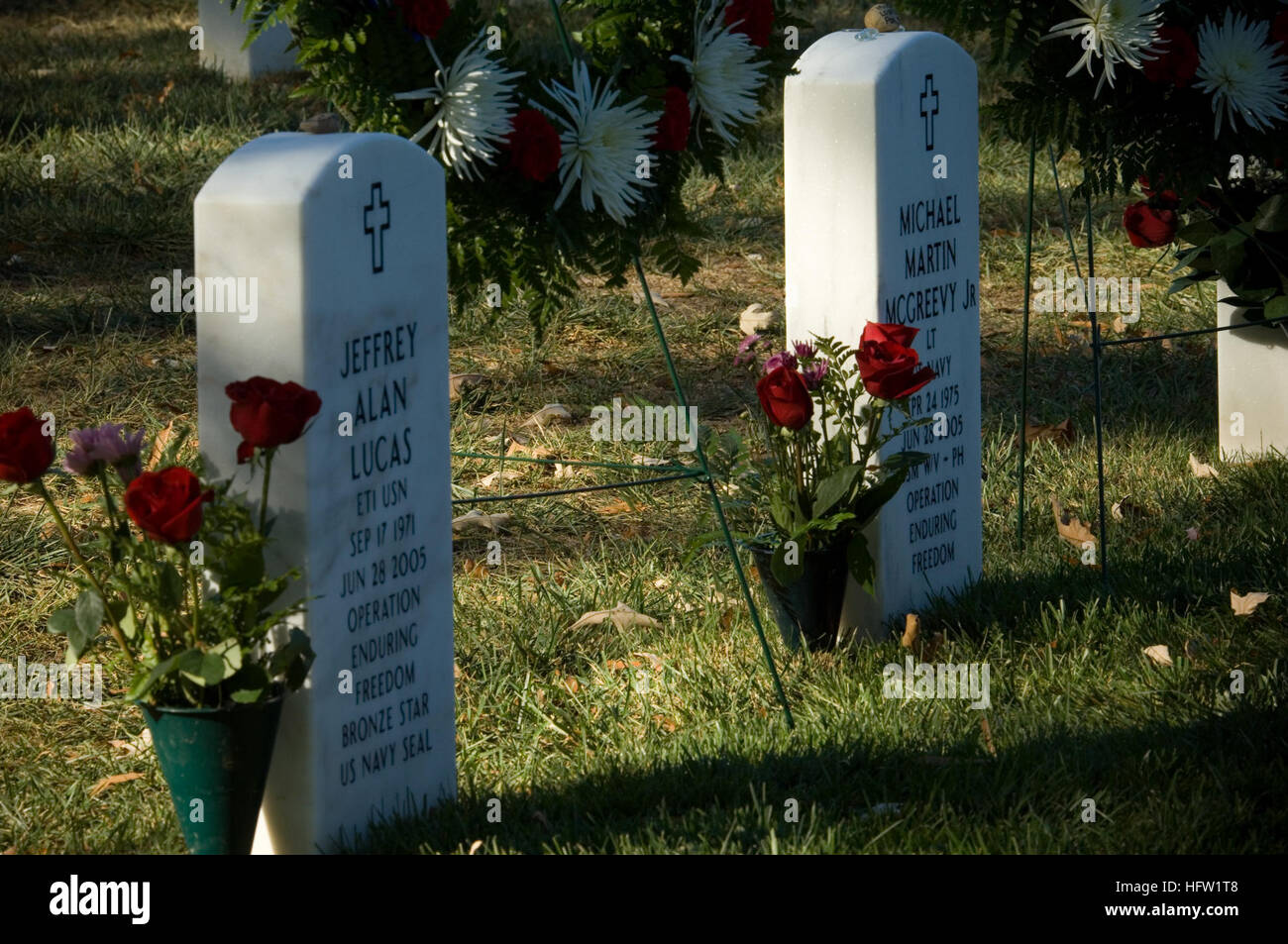 Maureen flowers hires stock photography and images Alamy