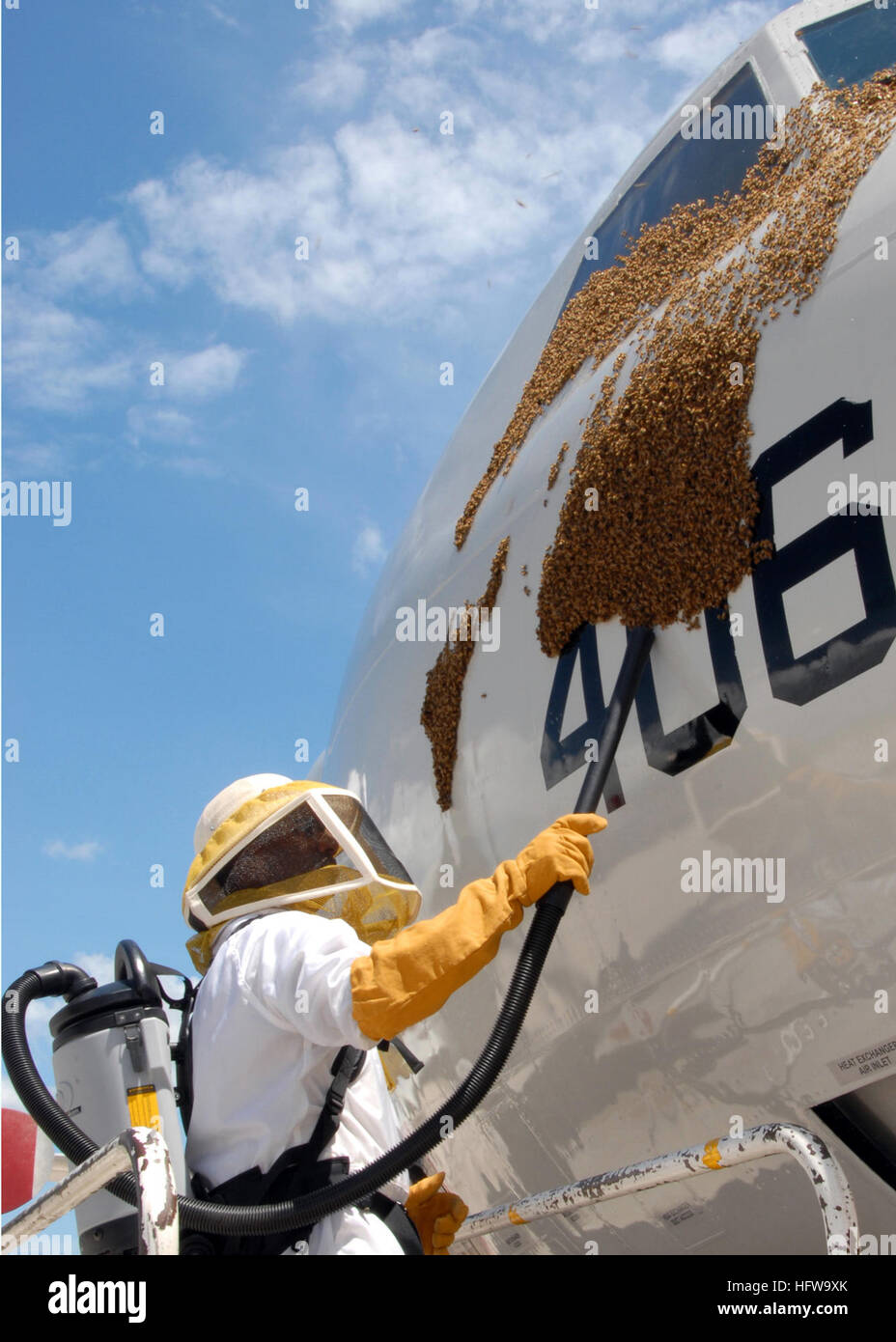 080629-N-3013W-047  OKINAWA, Japan (June 29, 2008) Aviation Airman 1st Class (A1C) Gilbert Hardy, assigned to the Air Force 18th Civil Engineer Squadron uses a vacuum to remove a swarm of Japanese honey bees from a Patrol Squadron (VP) 16 P-3C Orion. It is speculated that the bees sheltered on the aircraft from the heat and wind while in transit to a new hive site. VP-16 and Consolidated Maintenance Organization (CMO) 11 Det. BRAVO are deployed in support of Commander, U.S Navy 7th Fleet. U.S. Navy photo by Mass Communication Specialist 2nd Class Charles White (Released) US Navy 080629-N-3013W Stock Photo
