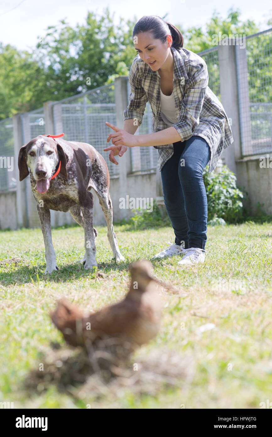 dedicated girl training dog in kennel Stock Photo Alamy
