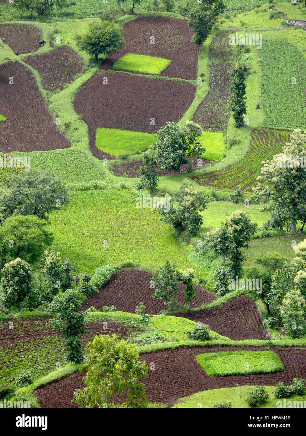 Top view of agriculture land with fields and trees Stock Photo Alamy