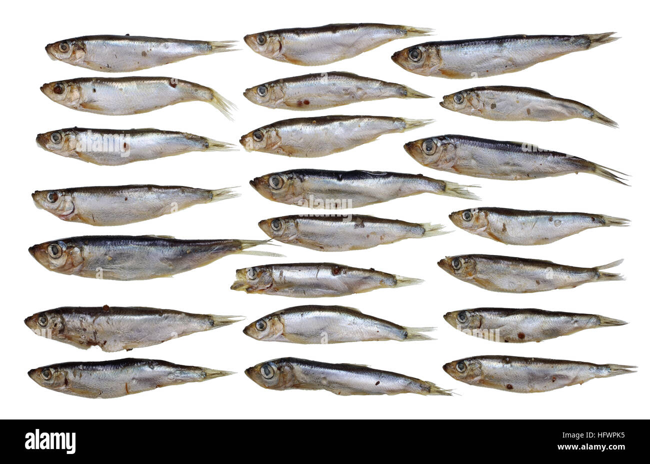 Twenty two small salty Baltic sprats fish set. Isolated on white Stock Photo