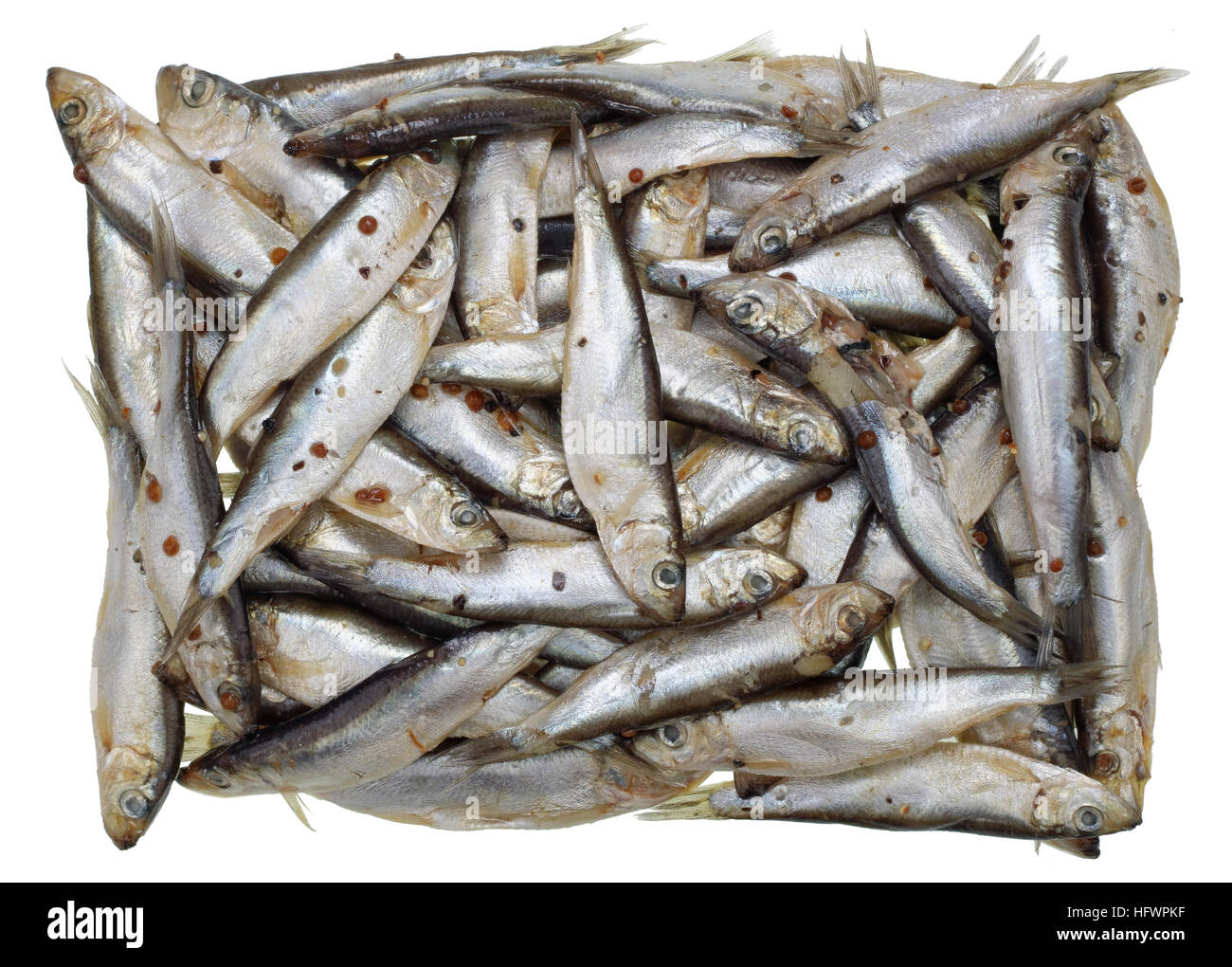 Mass grave of little silvery fishes concept. Heap of salty Baltic sprat. Isolated studio shot Stock Photo