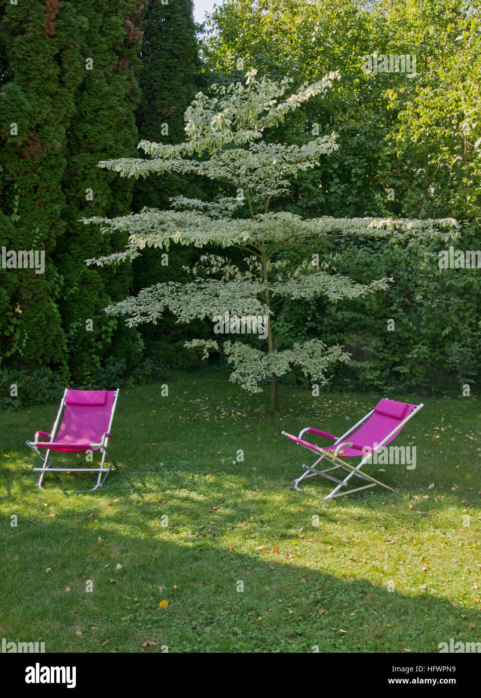 Garden chairs Stock Photo