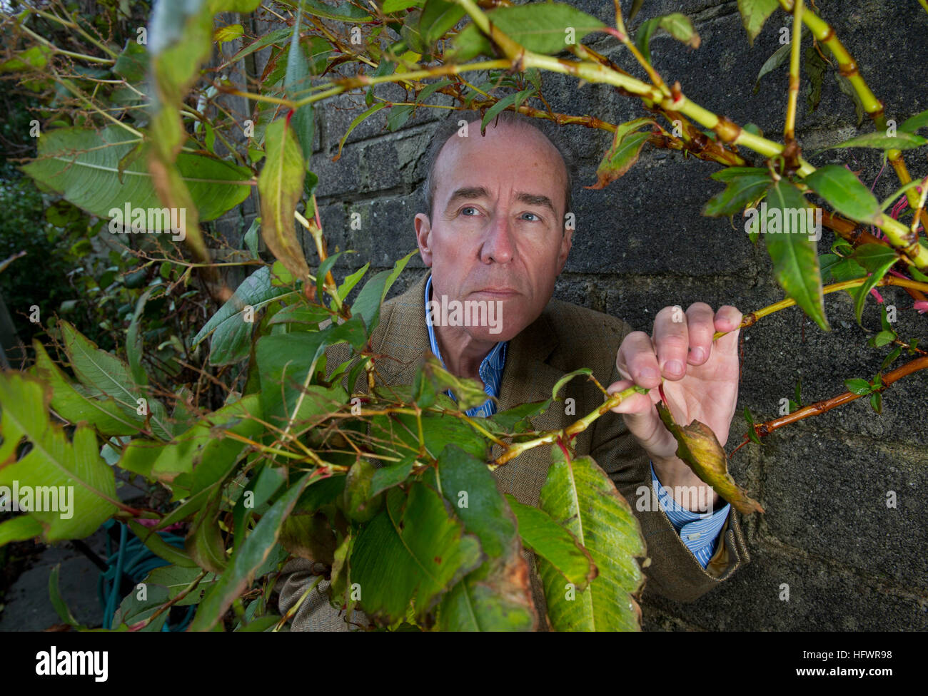 Paul & Teresa Hunter with the Himalayan knotweed invading their garden in Cornwall,UK. Stock Photo