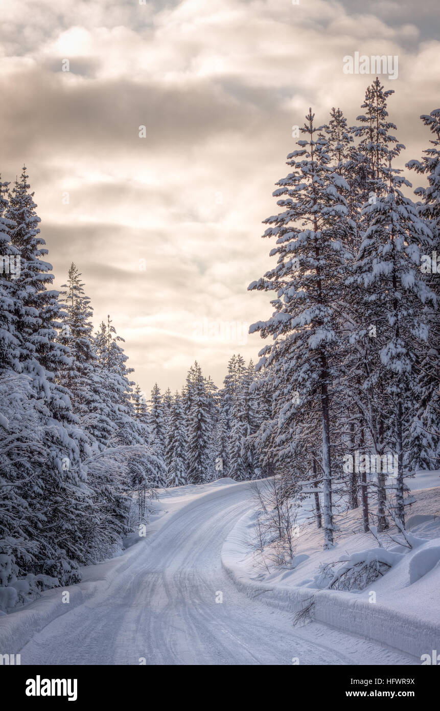 Winter road in Norway Stock Photo