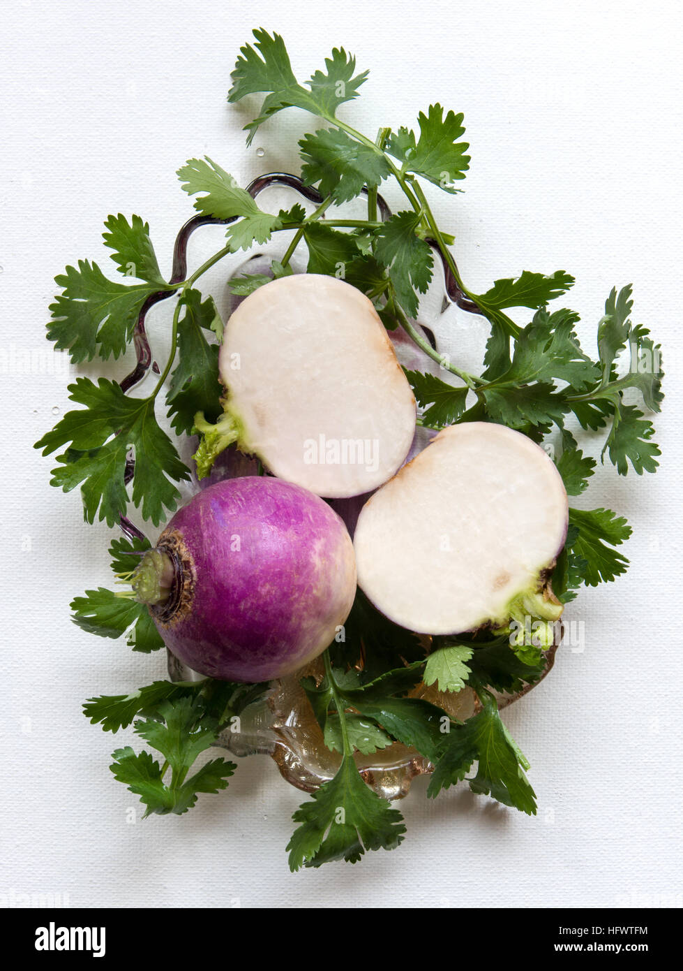Turnip the vegetable cut & whole dressed with coriander leaves, top view white background Stock Photo