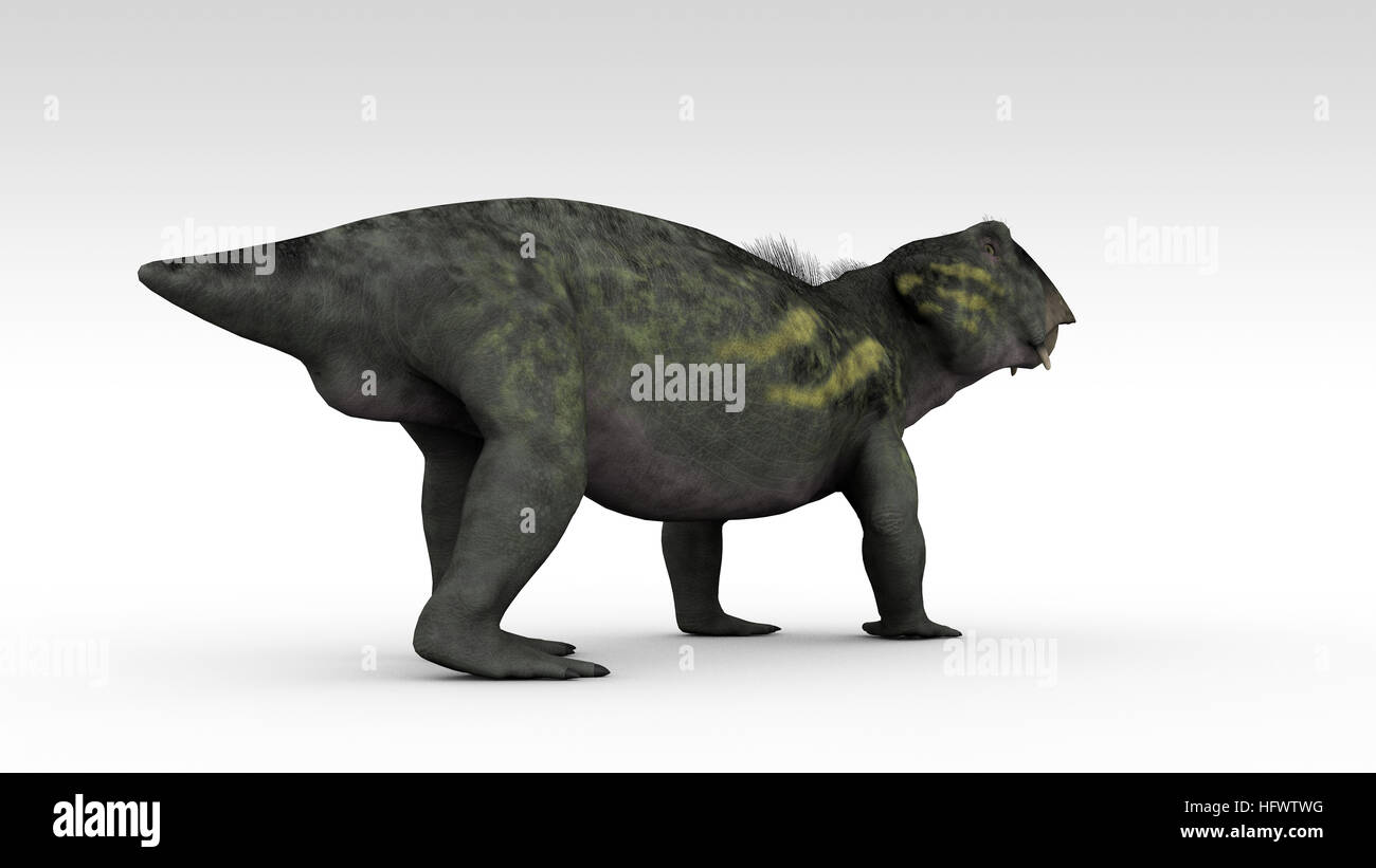 3d illustration of the lystrosaurus isolated on white Stock Photo Alamy