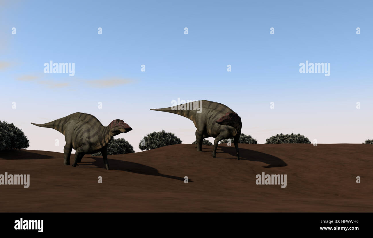3d illustration of the walking and grazing group of shuangmiaosauruses Stock Photo