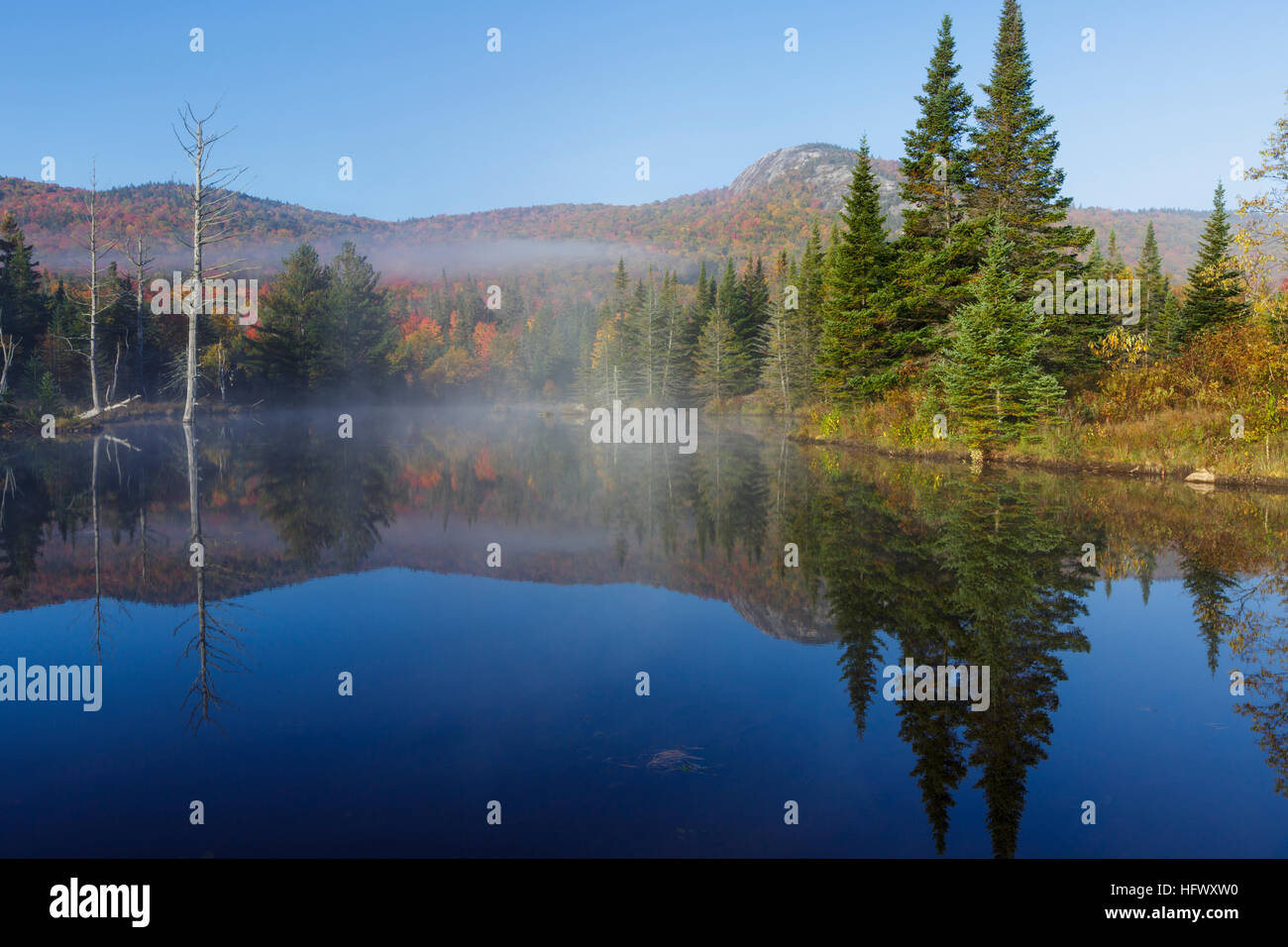 Wildlife Pond in Bethlehem, New Hampshire USA on a foggy autumn day