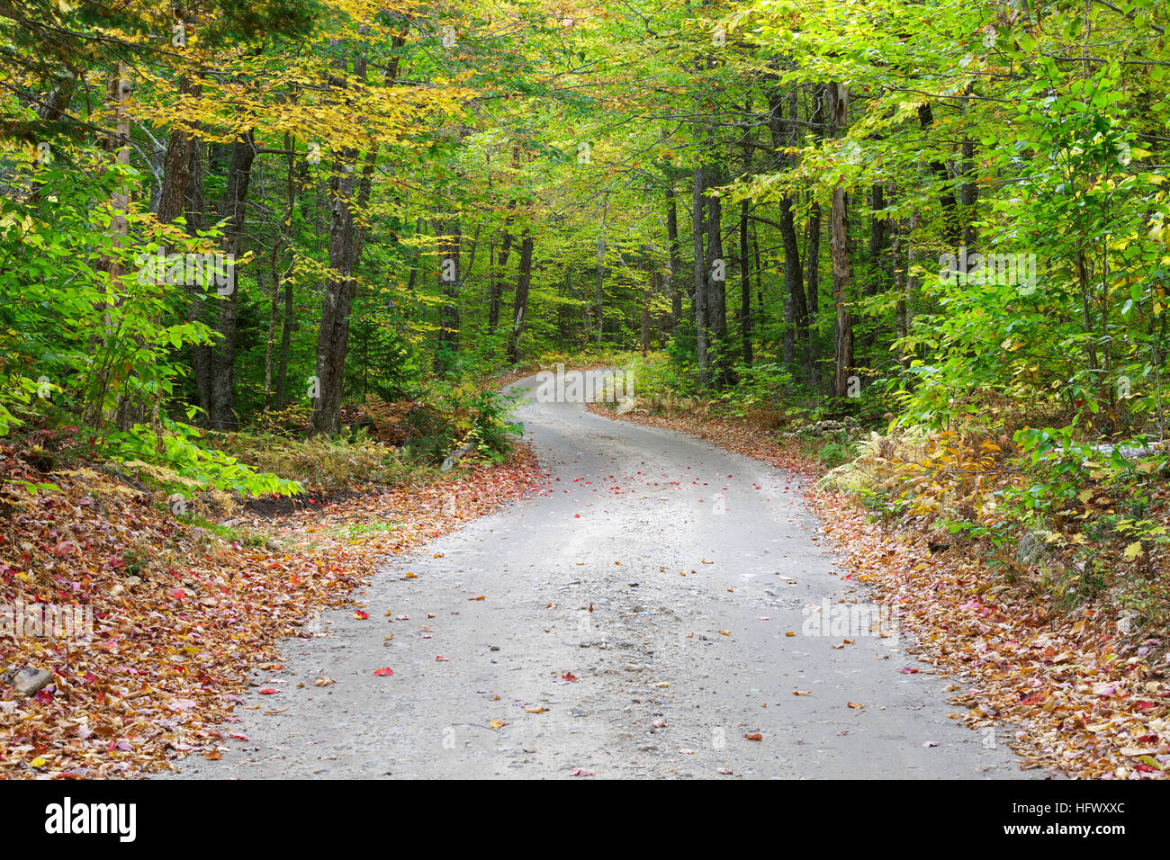 The Sandwich Notch Road in Sandwich, New Hampshire during the autumn