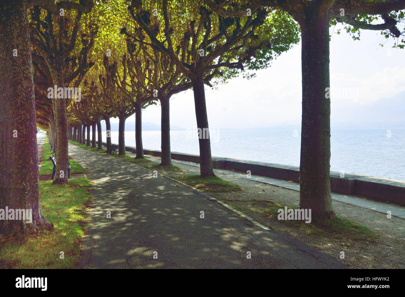 tree lined path in Aix-les-Bains on the banks of lake Bourget Stock Photo