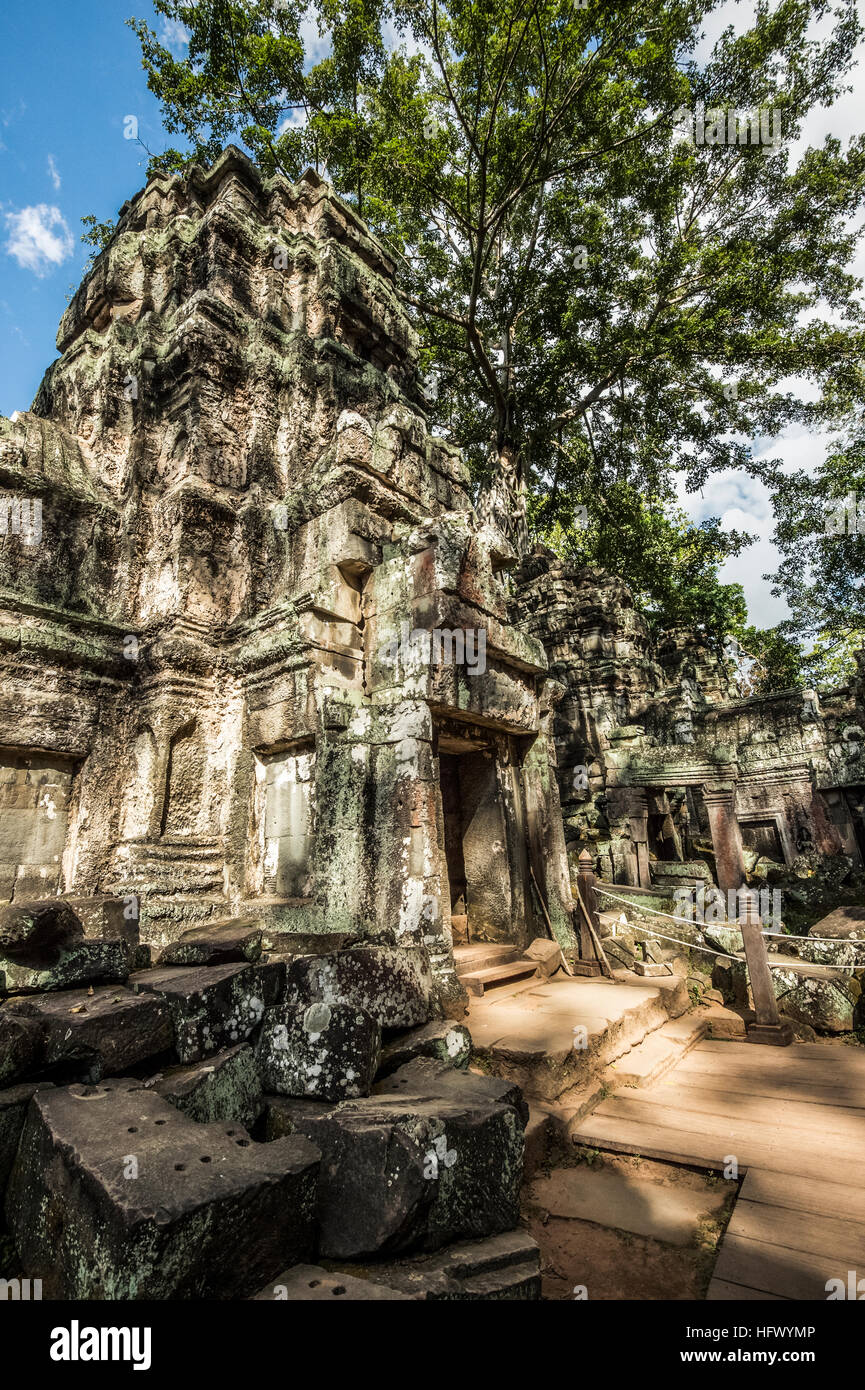 Treasures of ancient Angkor at the ruins of Ta Prohm temple Stock Photo