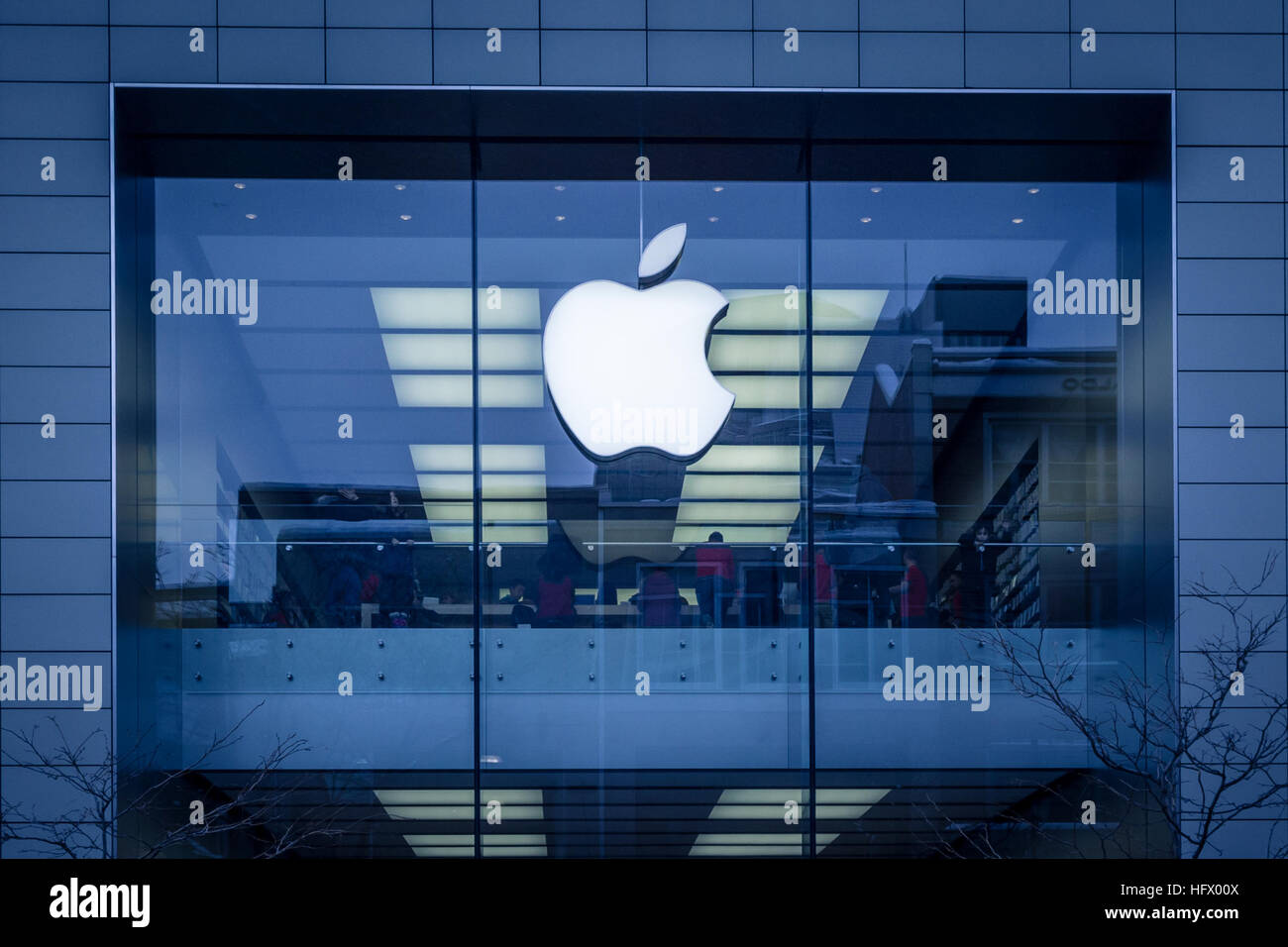 Picture of Montreal Apple Store in the evening in Montreal, Canada