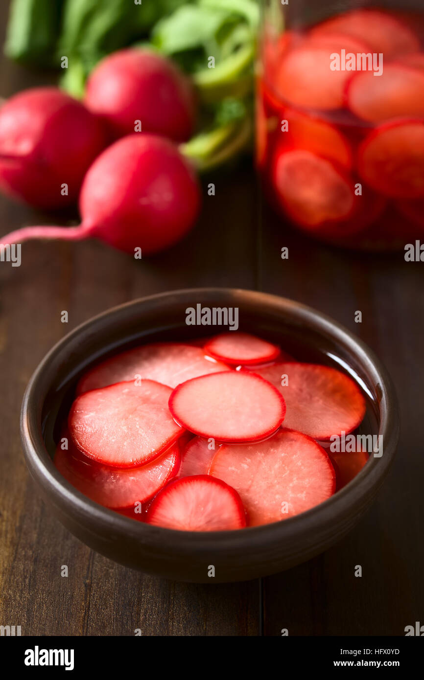 Fresh radishes cut in thin slices pickled in red wine vinegar with sugar and salt, photographed with natural light Stock Photo