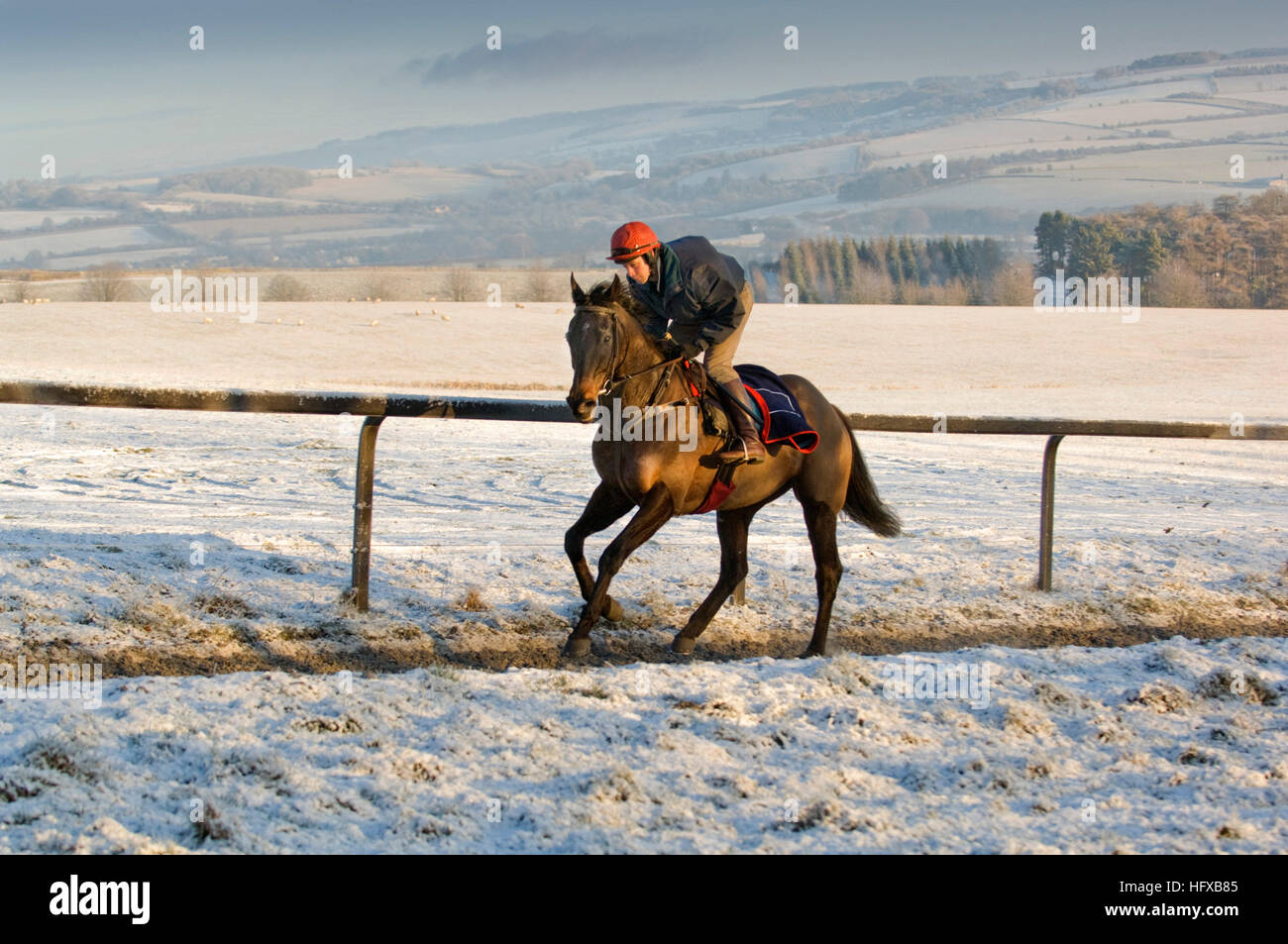 Jockey Guy Disney riding 'Pugilist' on an early morning Winter ride in ...