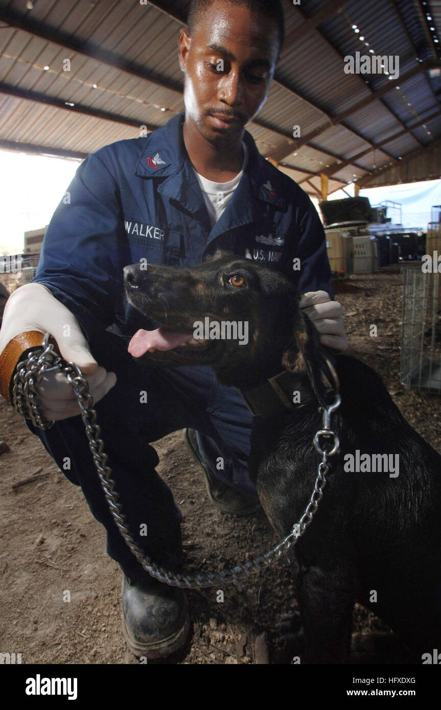 050917-N-5862D-461 Chalmette, La. (Sept. 17, 2005) Ð Quartermaster 2nd Class Kenneth Walker, assigned to the amphibious transport dock USS Shreveport (LPD 12), attends to a stray dog at a temporary animal shelter in Chalmette, La., following Hurricane Katrina. The crew of Shreveport has been tasked with helping a local make-shift animal rescue shelter, where they feed and bath displaced animals, as well as build temporary pens and cages for the numerous cats and dogs given sanctuary. The Navy's involvement in the Hurricane Katrina humanitarian assistance operations are led by the Federal Emerg Stock Photo