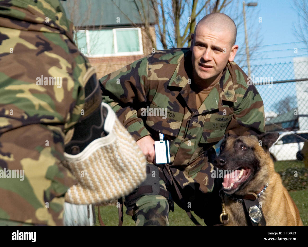Navy dog handler hires stock photography and images Alamy
