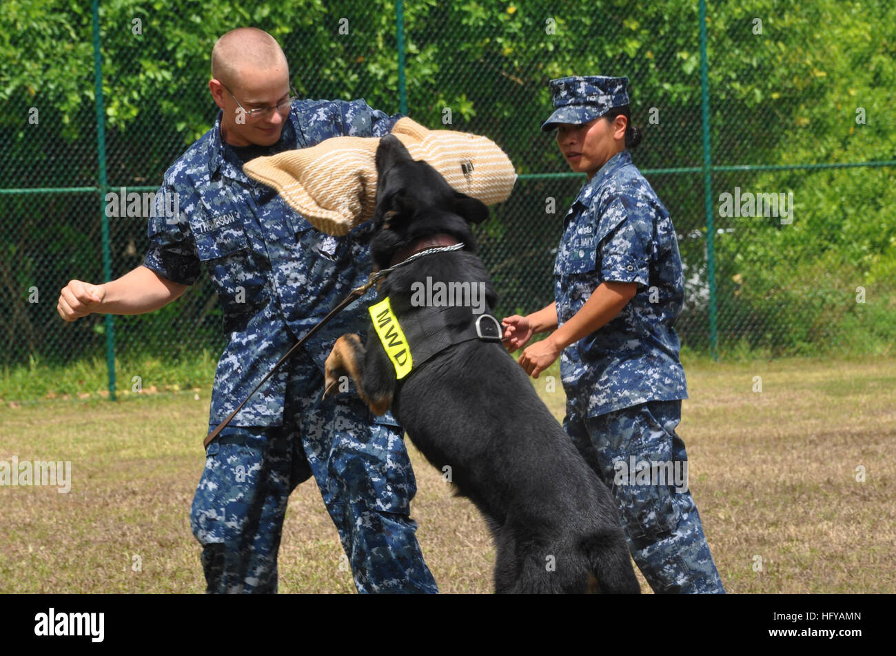 Navy Kennel Master Stock Photos & Navy Kennel Master Stock Images Alamy