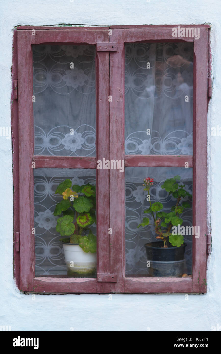 Old window frame with geranium flowers Stock Photo - Alamy