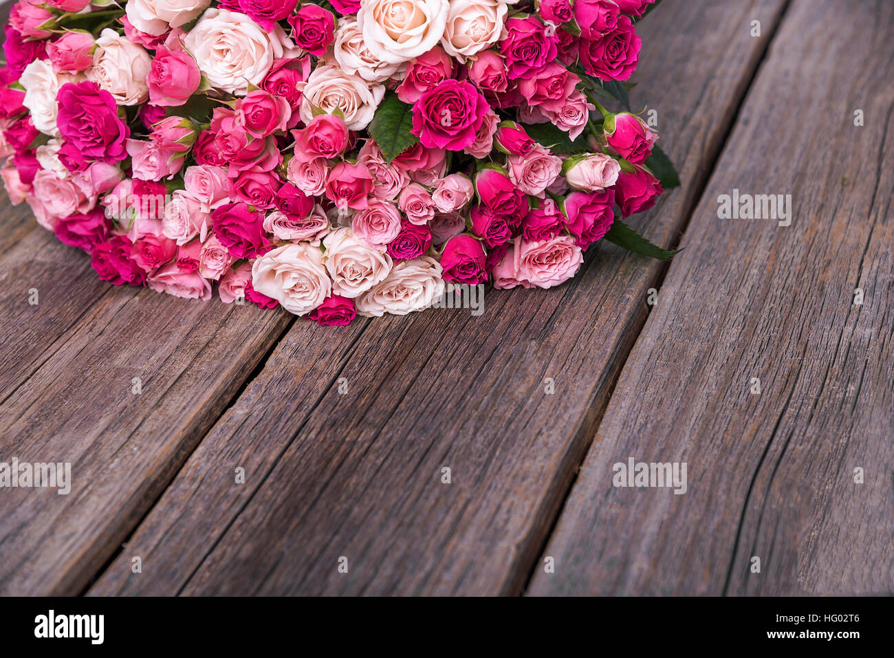 Top view roses hi-res stock photography and images - Alamy