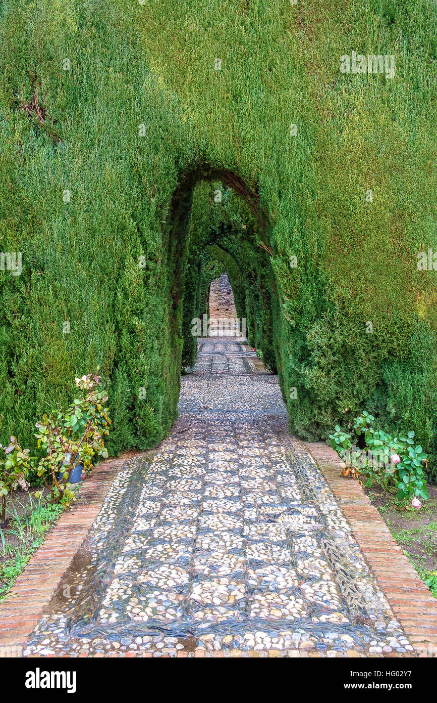 Alhambra garden, Granada, Andalusia, Spain Stock Photo