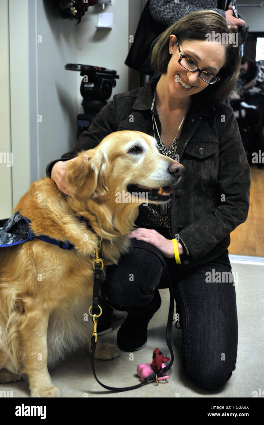 111205-N-RE933-013 BETHESDA, Md. (Dec. 5, 2011) Siobhan McConnell pets Rear Adm. Laura Lee while waiting to visit her son, Army Pfc. Derek McConnell, at Walter Reed National Military Medical Center. Laura Lee is one of three therapy dogs at the hospital who spend their days working and visiting with patients, families and staff. (U.S. Navy Photo by Mass Communication Specialist 1st Class Peggy Trujillo/Released) US Navy 111205-N-RE933-013 Siobhan McConnell pets Rear Adm. Laura Lee while waiting to visit her son, Army Pfc. Derek McConnell, at Walter Reed Nat Stock Photo