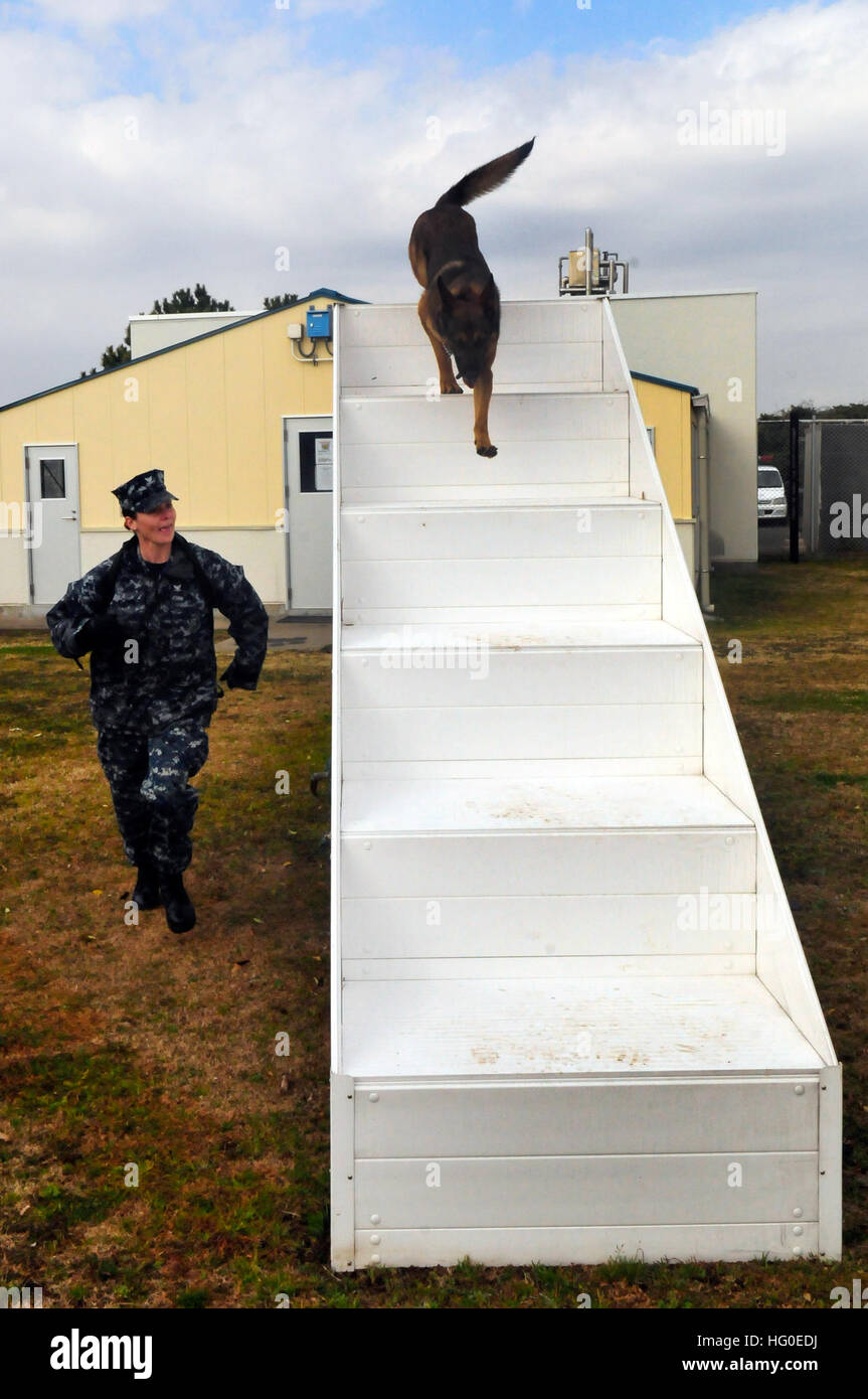 Navy Kennel Master Stock Photos & Navy Kennel Master Stock Images Alamy