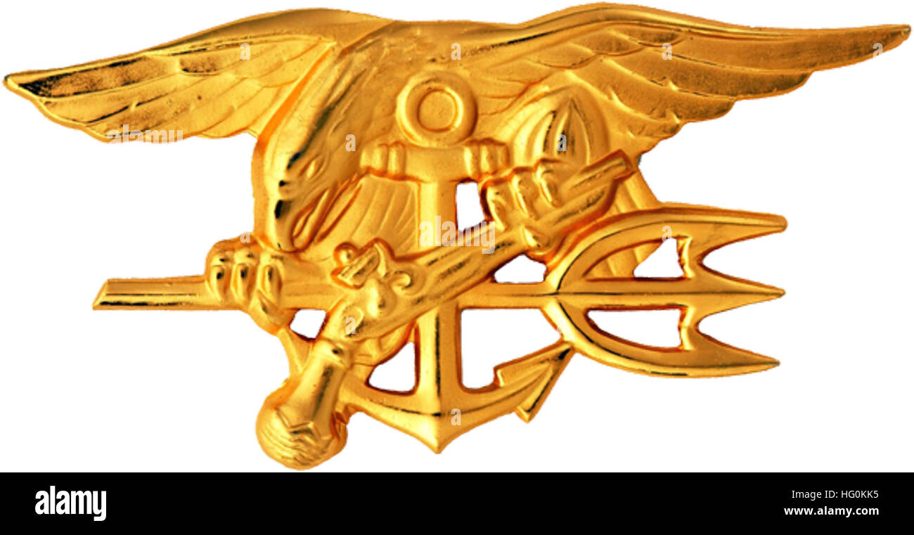 US Navy SEALs insignia Stock Photo