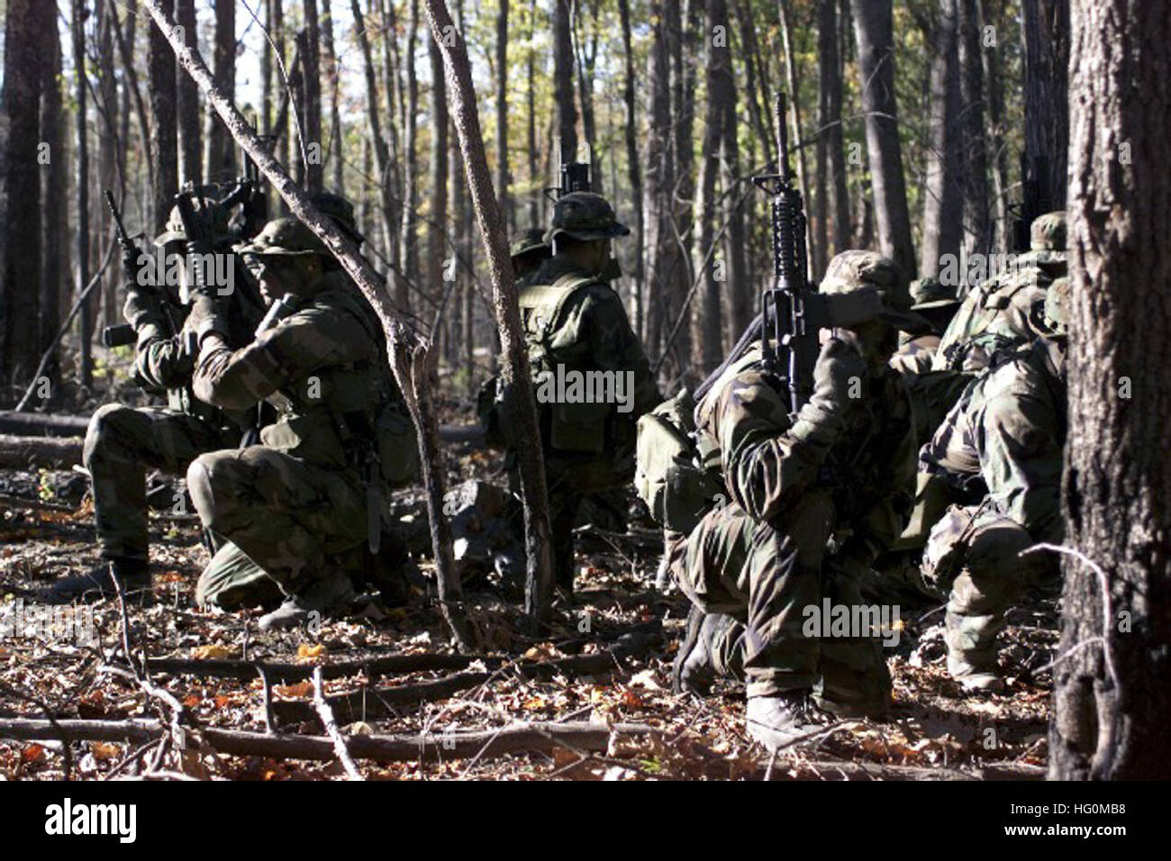 US Navy SEALs in woodlands operation Stock Photo