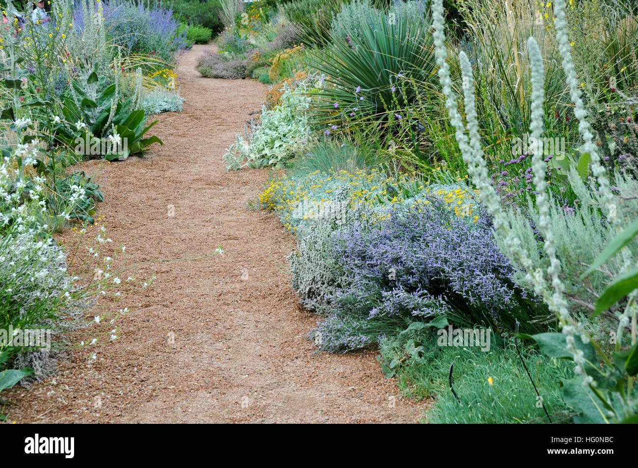 Part of the garden with sun loving plants Stock Photo Alamy