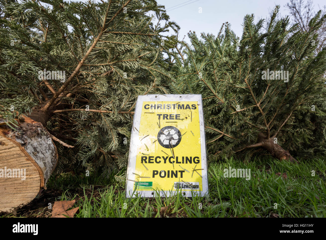 Hanover christmas tree dump 2017 2022