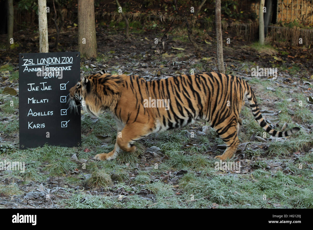 Zoo licence hires stock photography and images Alamy