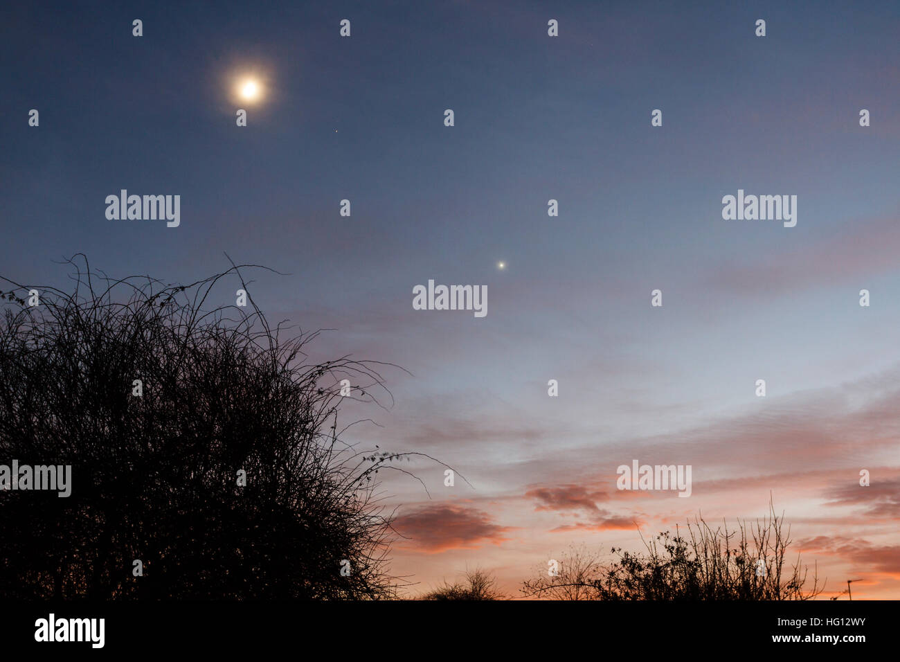 Night Sky Uk Stars High Resolution Stock Photography and Images - Alamy