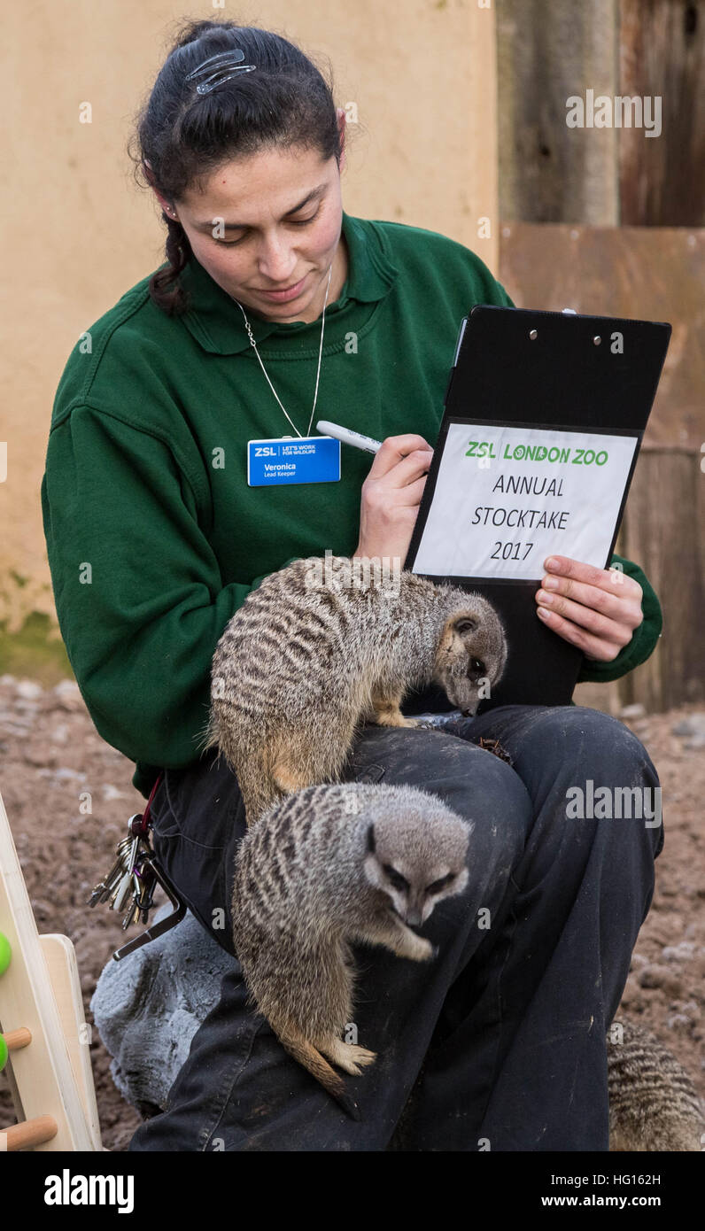 London zoo keeper hires stock photography and images Alamy