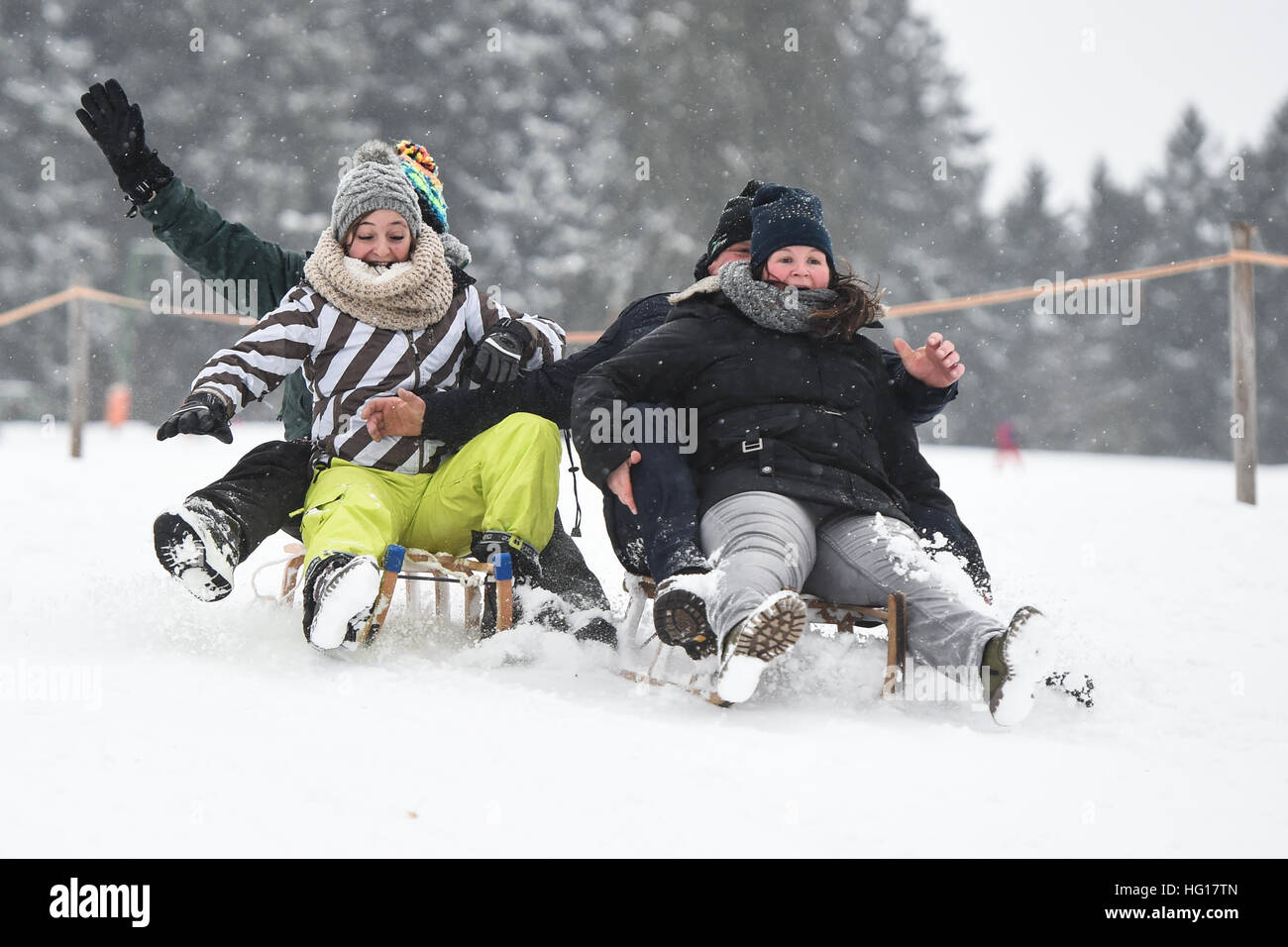 Four excursionists from Bad Saulgau, Germany sled down the hill in Isny im Allgaeu, Germany, 04 January 2017. Stock Photo