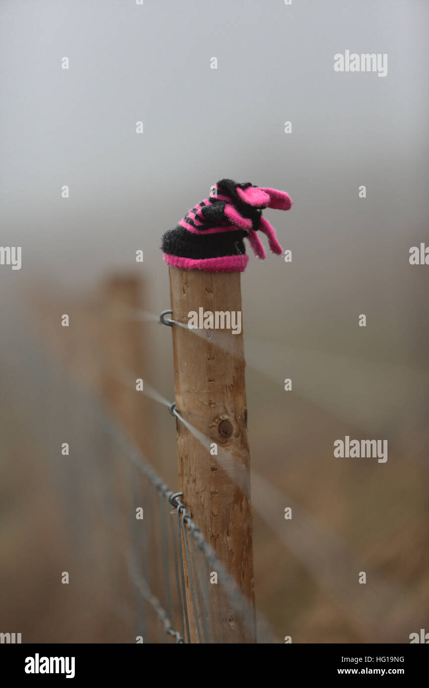 A single lost wet glove on a country fence in fog. Stock Photo