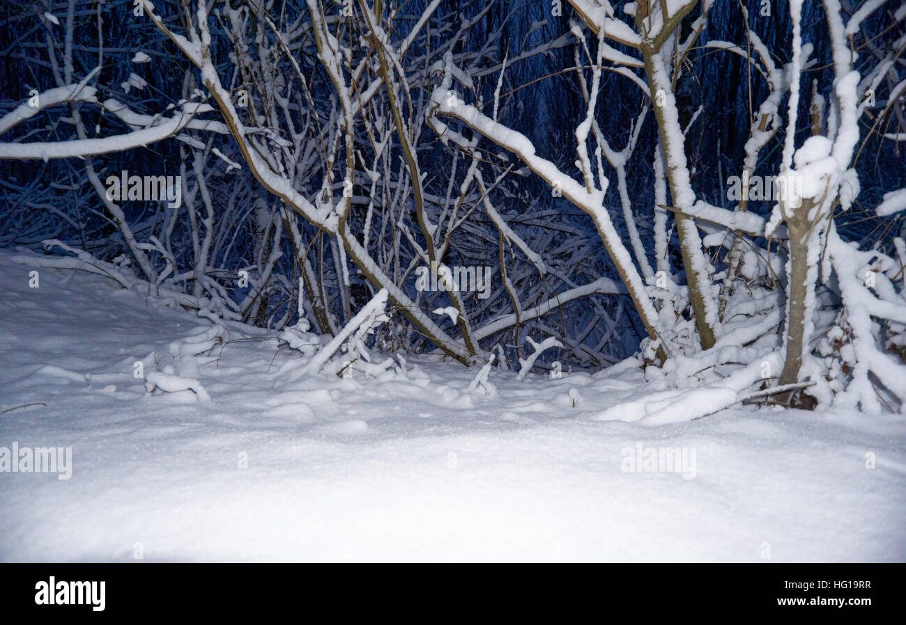 The winter is here! snow and snowflakes is everywhere Stock Photo