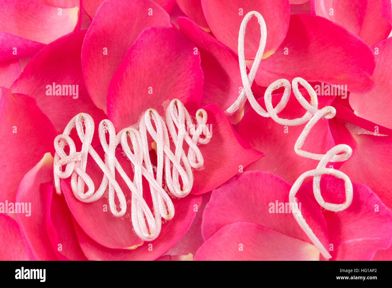 Word love made out of thread on red rose petals Stock Photo