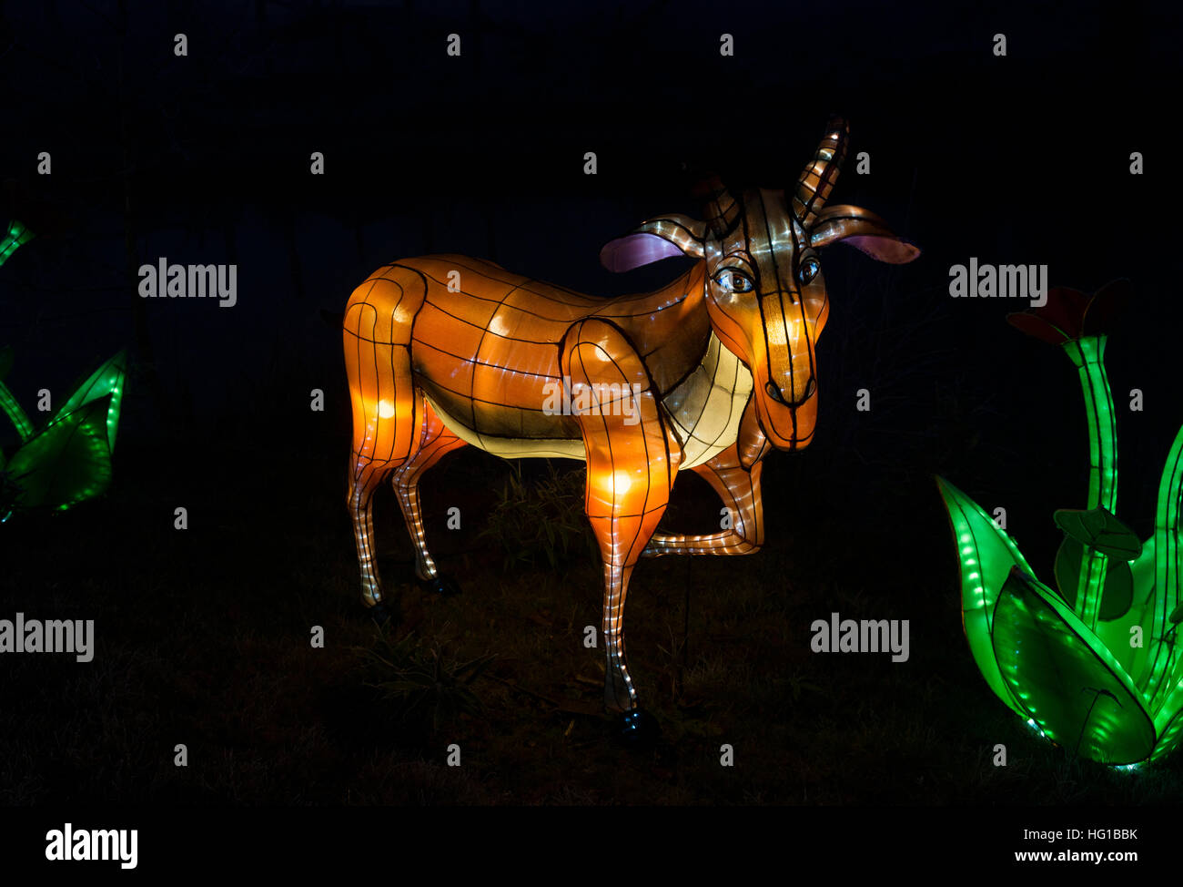 BEEKSE BERGEN,NETHERLANDS - DECEMBER 29 2016:african light festival with african animals art filled with lights in Beekse bergen on December 29, this Stock Photo
