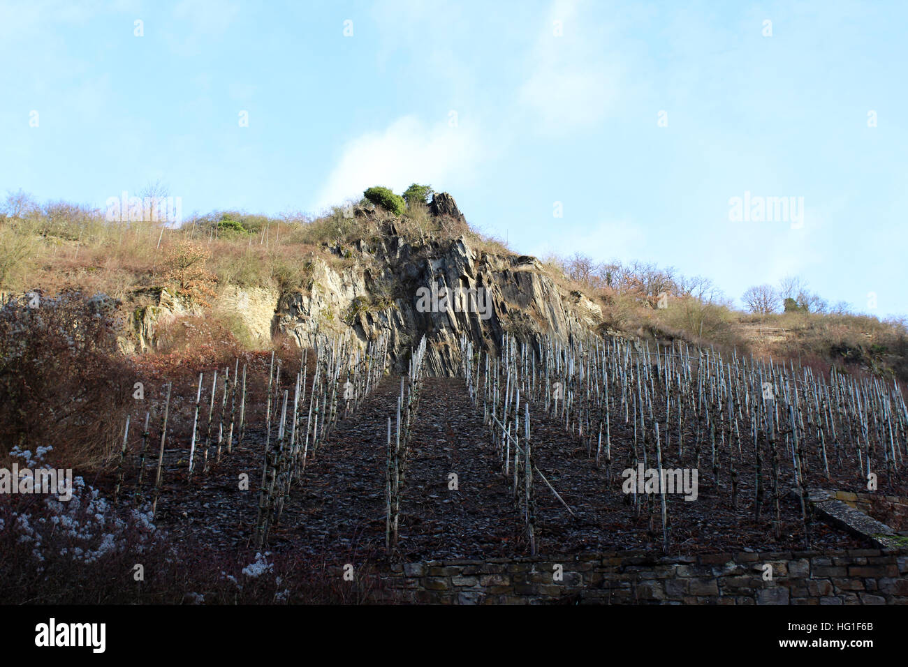 Vineyards at Beilstein, Germany Stock Photo