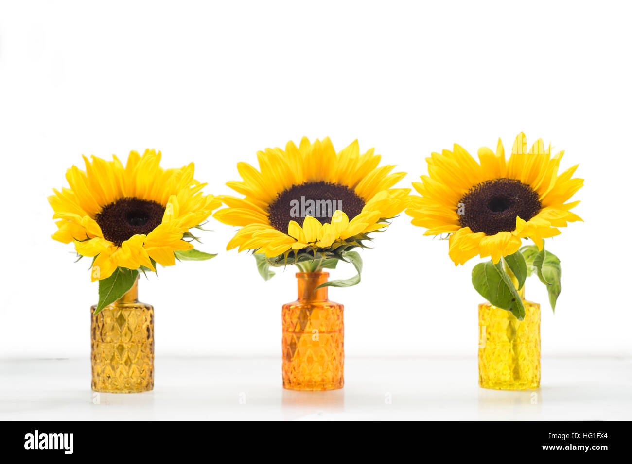 Three sunflowers in glass vases Stock Photo Alamy